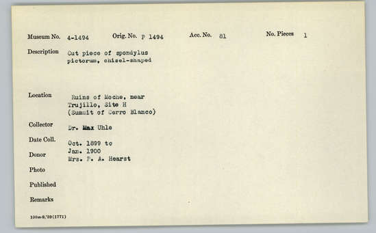 Documentation associated with Hearst Museum object titled Worked shell, accession number 4-1494, described as Cut piece of Spondylus pictorum, chisel-shaped.