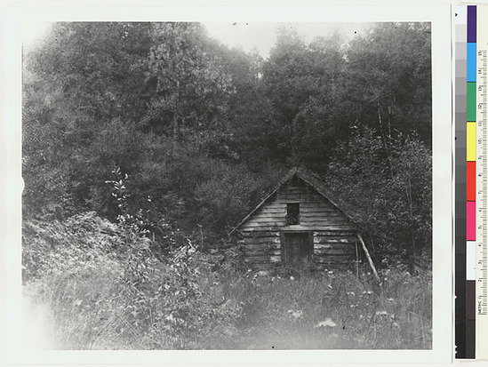 Hearst Museum object titled Black-and-white negative, accession number 15-3170, described as Abandoned cabin