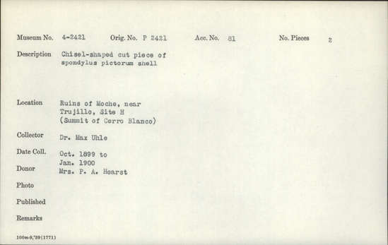 Documentation associated with Hearst Museum object titled Worked shell, accession number 4-2421, described as Chisel-shaped cut piece of Spondylus pictorum shell.