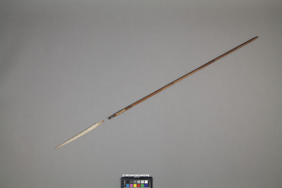 Hearst Museum object titled Arrow shaft and point, accession number 11-42867a,b, no description available.