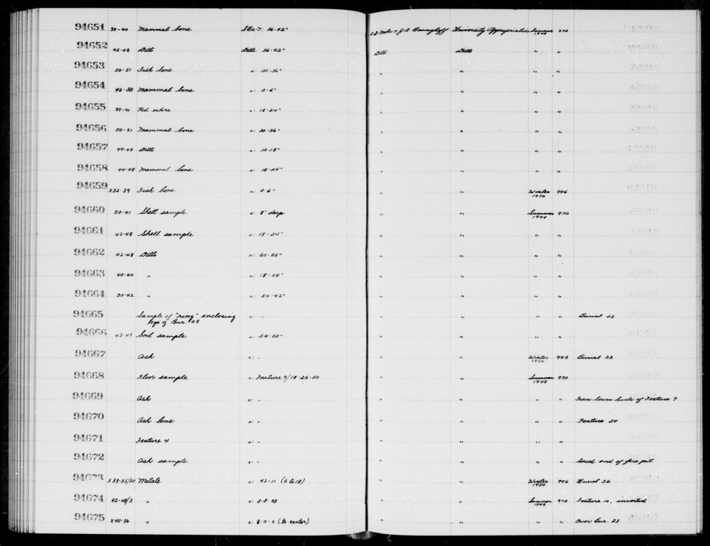 Documentation associated with Hearst Museum object titled Ash, accession number 1-94667, described as Ash