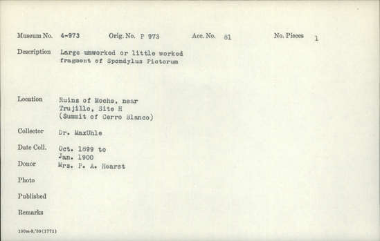 Documentation associated with Hearst Museum object titled Shell fragment, accession number 4-973, described as Large unworked or little worked fragment of Spondylus pictorum.