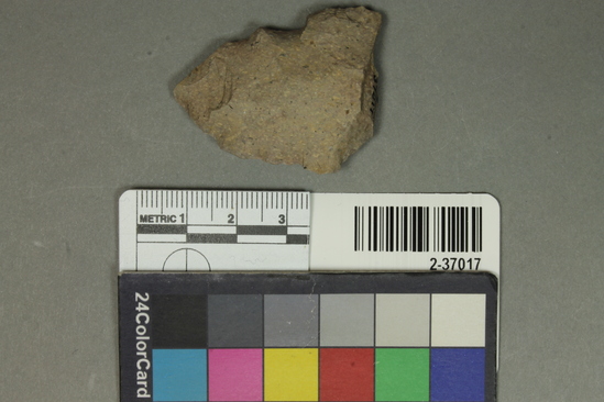 Hearst Museum object titled Point fragment, accession number 2-37017, described as Tip of a blade; grey igneous stone