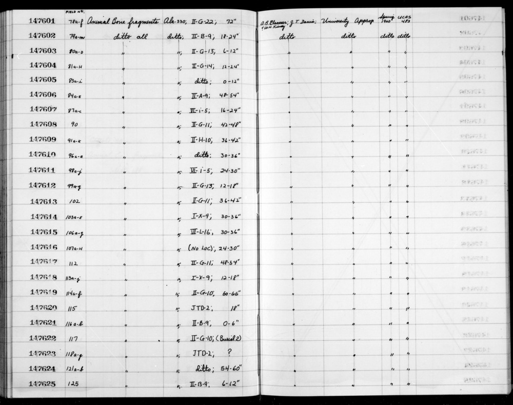 Documentation associated with Hearst Museum object titled Faunal remains, accession number 1-147620, described as Animal.