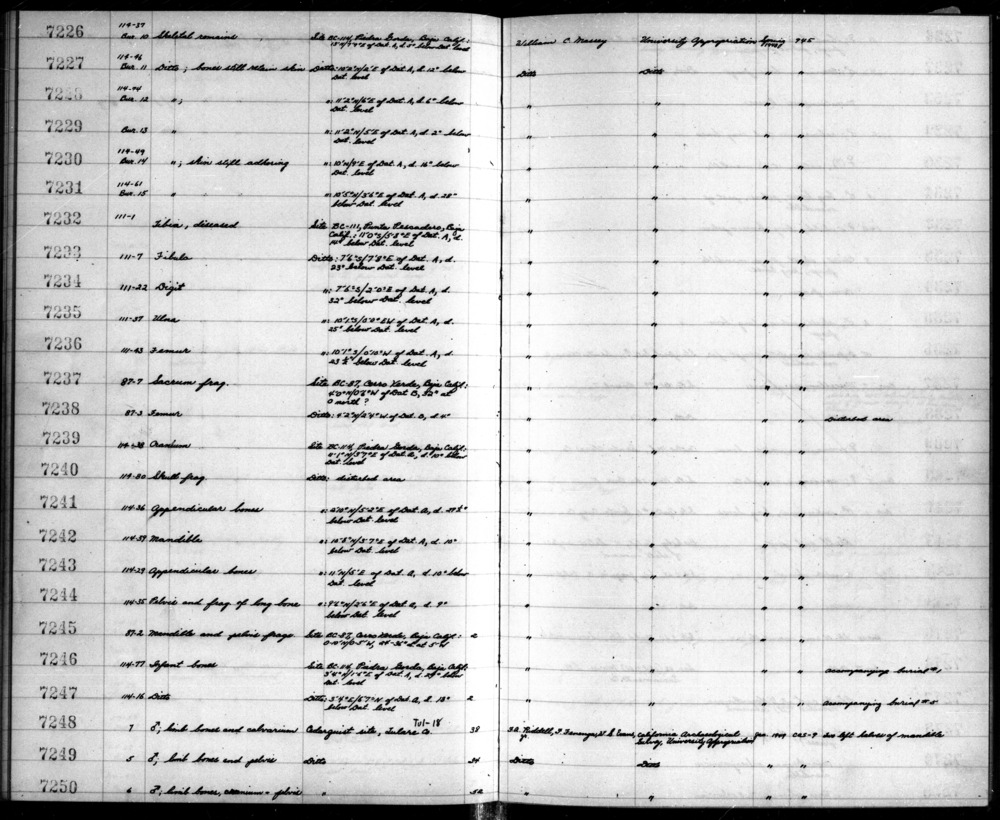Documentation associated with Hearst Museum object titled Human remains, accession number 12-7226, no description available.