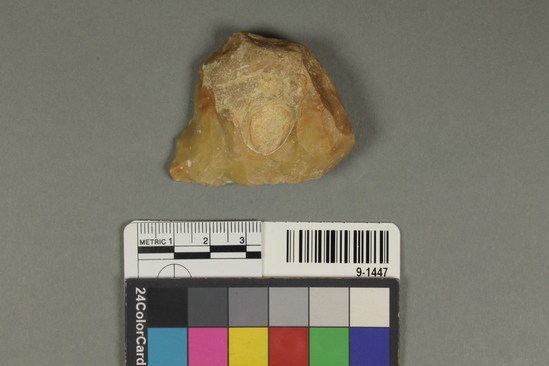 Hearst Museum object titled Flake, accession number 9-1447, described as Acheuleo-Mousterian flint