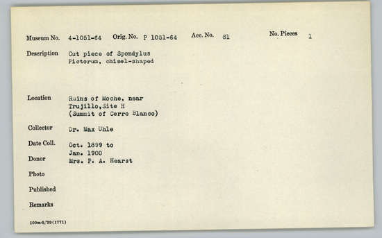 Documentation associated with Hearst Museum object titled Worked shell, accession number 4-1052, described as Cut piece of Spondylus pictorum, chisel-shaped.