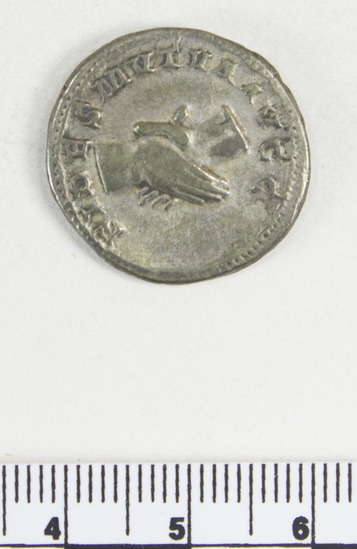 Hearst Museum object 7 of 8 titled Coin: æ denarius, accession number 8-6171, described as Coin: Denarius; Æ (AR?); Balbinus - 5.50 grams. Obverse: IMP CAES D CAEL BALBINVS AVG - Bust facing right, radiate, draped. Reverse: CONCORDIA AVGG  - Clasped hands.