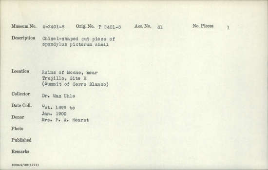 Documentation associated with Hearst Museum object titled Worked shell, accession number 4-24508, described as Chisel-shaped cut piece of Spondylus pictorum shell.