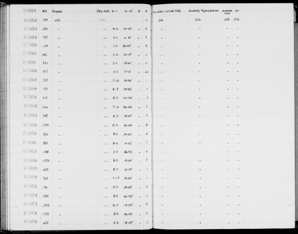 Documentation associated with Hearst Museum object titled Scrapers, accession number 1-96551, described as Scrapers.