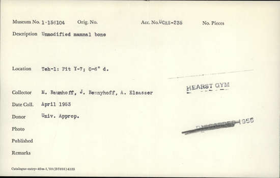 Documentation associated with Hearst Museum object titled Faunal remains, accession number 1-156104, described as Unmodified, mammal.