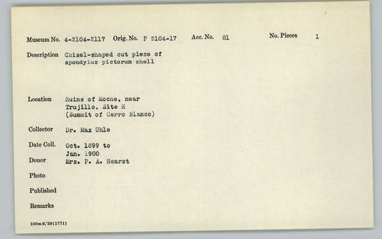 Documentation associated with Hearst Museum object titled Worked shell, accession number 4-2109, described as Chisel-shaped cut piece of Spondylus pictorum shell.