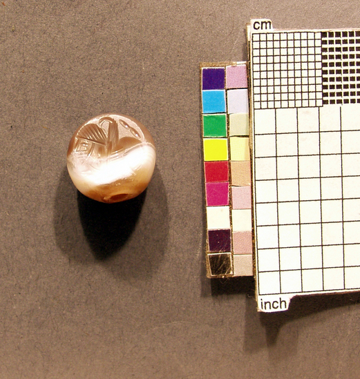 Hearst Museum object titled Seal, accession number 9-17366, described as Stamp seal. Truncated spheroid. Quarz: agate. Winged bull with human bearded head in right profile, couchant. Lamassu or Gopat Shah (?) Hair is straight and bound with a fillet. Two bead earring. Two beads in field above figure. Carefully articulating engraving. Color: Bands of white and cocoa brown. Condition: fine chipping on lower edge of carved surface. Small chips on drill holes. Large possible toolmarks on back, one near drill hole.