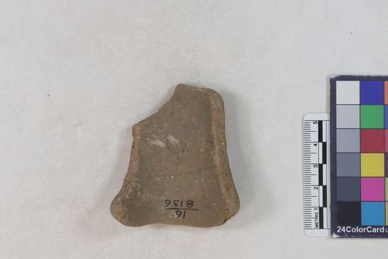 Hearst Museum object 2 of 2 titled Potsherd, accession number 16-8136, described as Potsherd; rim, bottle neck. Numbers  8111 to 8194 are sherds picked up on beach at low tide. Section of Manta on Beach currently inhabited.