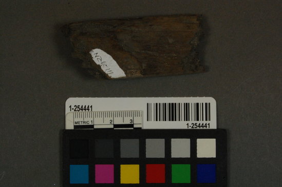 Hearst Museum object titled Wood fragment, accession number 1-254441, no description available.