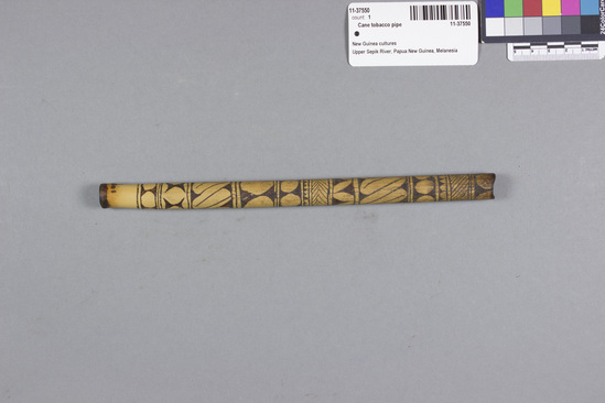 Hearst Museum object 2 of 2 titled Cane tobacco pipe, accession number 11-37550, described as Tobacco pipe, cane, with incised designs filled with black pigment, 22.8 cm long. Used for smoking.