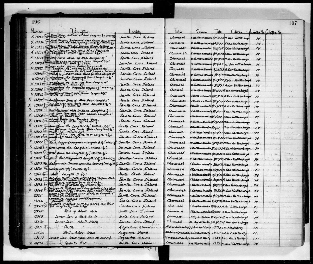 Documentation associated with Hearst Museum object titled Awl, accession number L-13850, described as Awl: split type, mule deer cannon