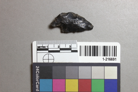 Hearst Museum object titled Projectile point, accession number 1-216691, described as Corner notched, obsidian.