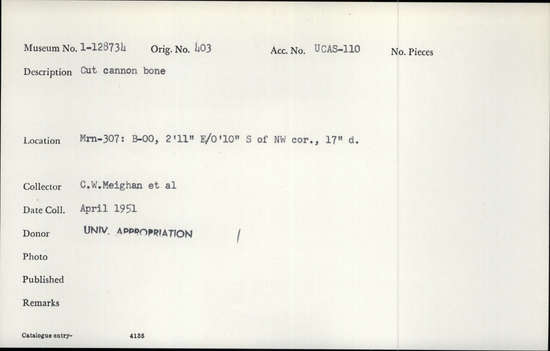 Documentation associated with Hearst Museum object titled Worked bone, accession number 1-128734, described as Cut cannon bone. Notice: Image restricted due to its potentially sensitive nature. Contact Museum to request access.