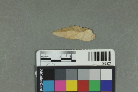 Hearst Museum object titled Flake, accession number 5-8221, described as Unifacial flake; pointed; convex; secondary flaking on one edge; length 4.3 cm