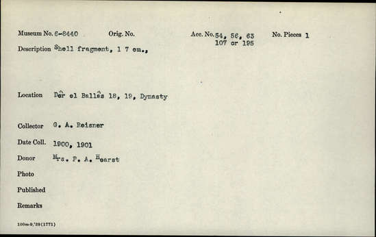 Documentation associated with Hearst Museum object titled Shell fragment, accession number 6-8440, described as Shell fragment. Length 7cm.