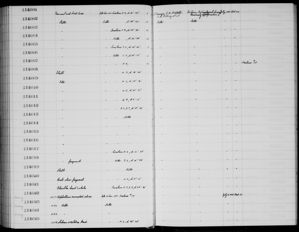 Documentation associated with Hearst Museum object titled Faunal remains, accession number 1-114006, described as Mammal and bird