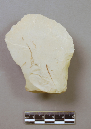 Hearst Museum object 2 of 2 titled Flake, accession number 9-8511, described as Flake; cortex on back; step flaking; thick end