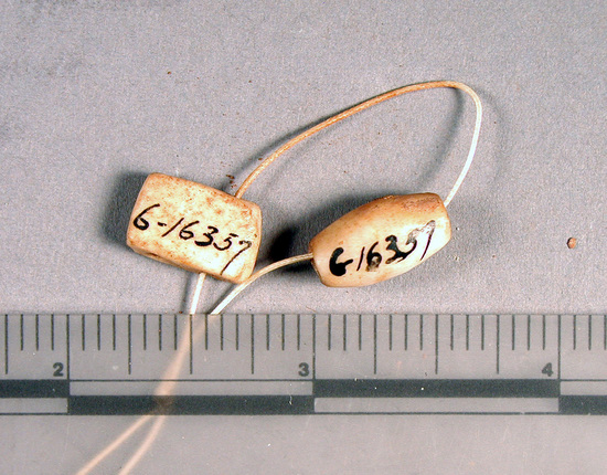 Hearst Museum object titled Bone beads, accession number 6-16357, described as Beads: 2 bone.