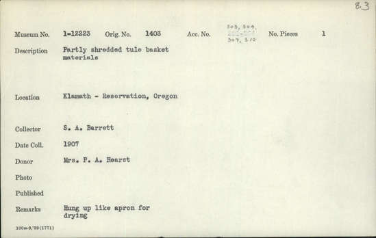 Documentation associated with Hearst Museum object titled Tule, accession number 1-12223, described as Partly shredded. Hung up like apron for drying.