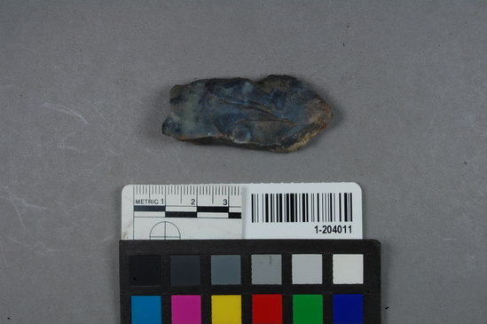 Hearst Museum object titled Point blank, accession number 1-204011, described as chert point blank