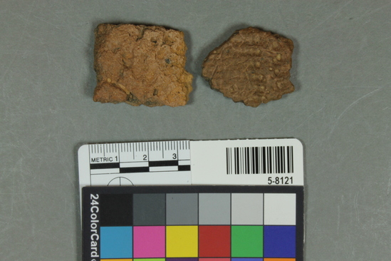 Hearst Museum object titled Potsherd, accession number 5-8121, described as sherds; stamping