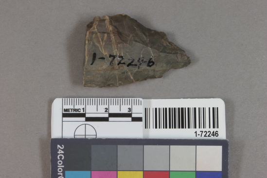 Hearst Museum object titled Point, accession number 1-72246, described as point, chert, frag.