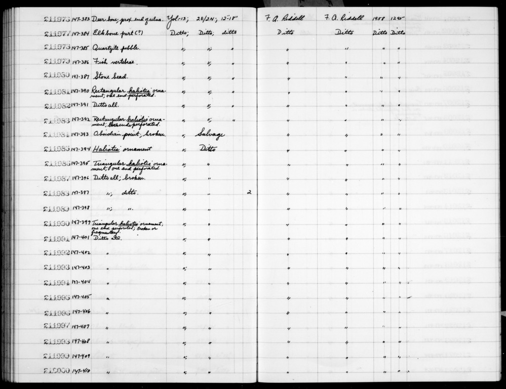 Documentation associated with Hearst Museum object titled Shell fragment, accession number 1-211992, described as Triangular haliotis; one end perforated; broken or fragmentary.