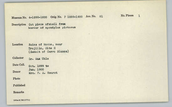 Documentation associated with Hearst Museum object titled Cut shell piece, accession number 4-1599, described as Cut piece of shell from border of Spondylus pictorum.