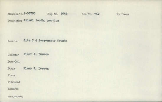 Documentation associated with Hearst Museum object titled Tooth, accession number 1-58705, described as Animal, portion