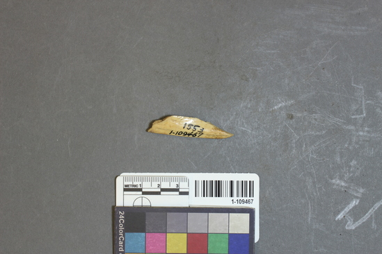 Hearst Museum object titled Worked bone, accession number 1-109467, described as Bone