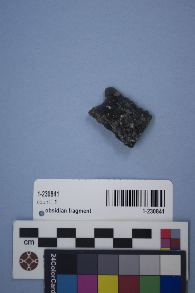 Hearst Museum object titled Obsidian fragment, accession number 1-230841, described as Biface.