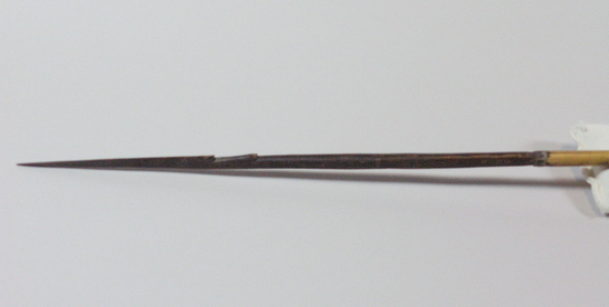 Hearst Museum object titled Arrow, accession number 16-380, described as Arrow, barbed hardwood point, cane shaft, feathers in poor condition.