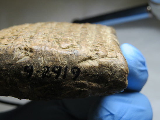 Hearst Museum object 75 of 187 titled Cuneiform tablet, accession number 9-2919, described as Mesopotamian cuneiform tablet