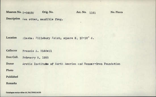 Documentation associated with Hearst Museum object titled Mammal bone, accession number 2-36030, described as Sea otter mandible fragment.