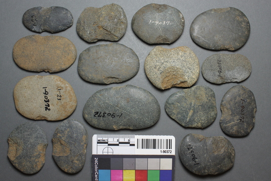 Hearst Museum object titled Sinkers, accession number 1-90372, described as Notched pebble sinkers.