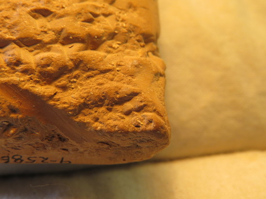 Hearst Museum object 116 of 132 titled Cuneiform tablet, accession number 9-2586, described as Neo-Babylonian Document from Erech