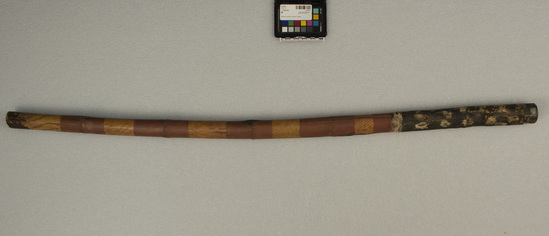 Hearst Museum object titled Didgeridoo, accession number 11-42737, described as Didgeridoo, bamboo, 5 natural horizontal bands with incised design, stained brown, painted black with white at one end. Length: 126.3 cm.