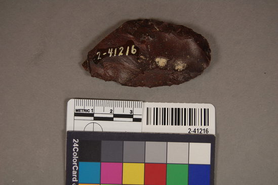 Hearst Museum object titled Blade, accession number 2-41216, described as No description given on catalog card.