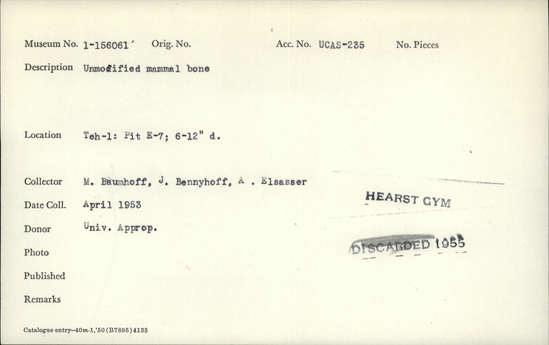 Documentation associated with Hearst Museum object titled Faunal remains, accession number 1-156061, described as Unmodified, mammal.