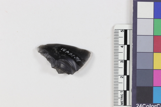 Hearst Museum object 2 of 2 titled Flake, accession number 16-14431, described as Projectile point fragment; obsidian; triangular; weight: 4.05 grams; length: 3.05 cm; width: 2.0 cm; depth: 0.7 cm.