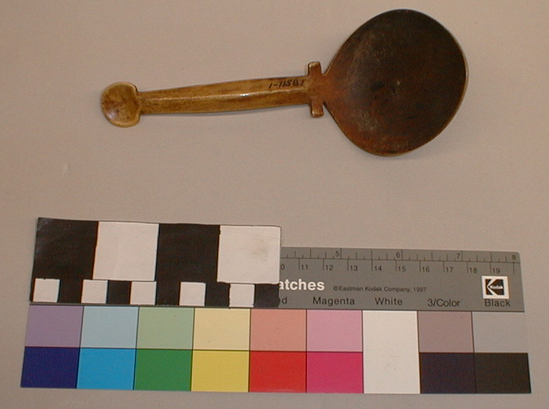 Hearst Museum object titled Spoon, accession number 1-11581, described as Elk antler, round bowl; handle with longitudinal rib.