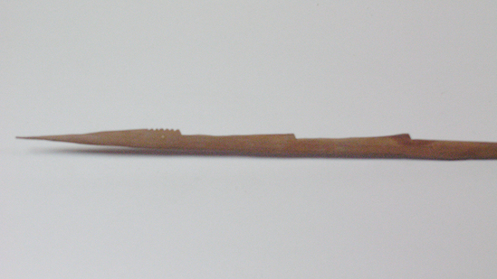 Hearst Museum object titled Arrow, accession number 16-435, described as Arrow, barbed hardwood point, cane shaft, feathers in poor condition