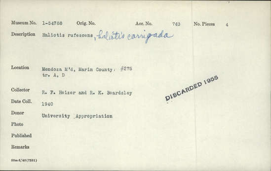 Documentation associated with Hearst Museum object titled Shell, accession number 1-54788, described as Haliotis rufescens, Haliotis carrigada.