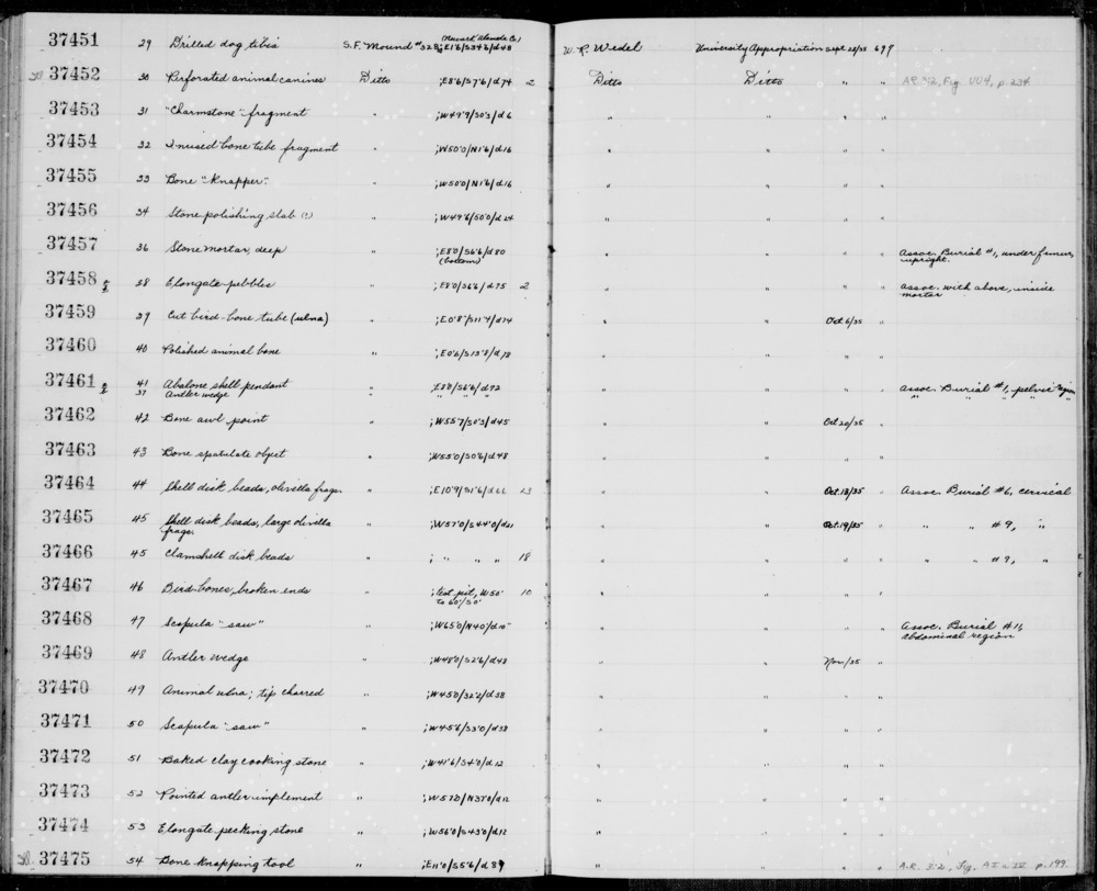 Documentation associated with Hearst Museum object titled Wedge, accession number 1-37469, described as Antler wedge